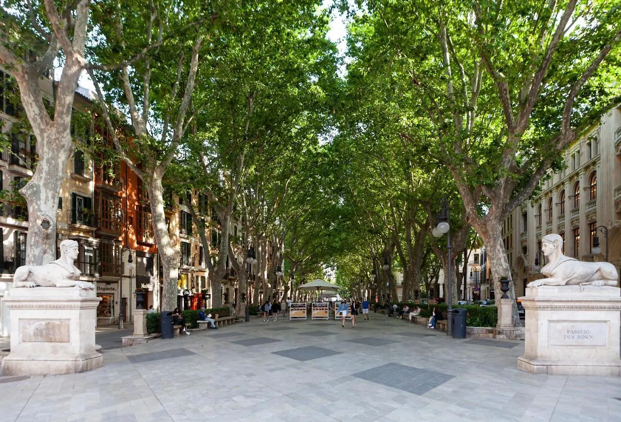 Nivia Born Boutique Hotel Palma de Mallorca Spain